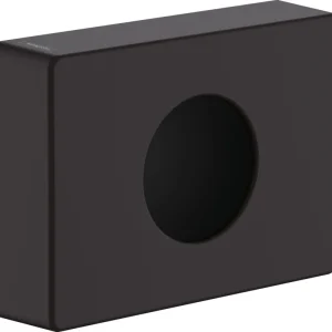 Achat Immédiat Distributeur de sachet hygiénique Hansgrohe AddStoris Noir mat